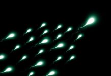 Lichidul seminal, cel mai bun antidepresiv natural. Ce proprietăți ULUITOARE are acesta