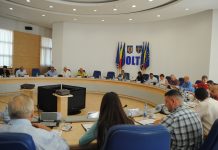 Consens politic la Consiliul Județean Olt