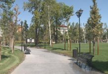 Festivalul „Street Food”, la Slatina