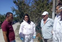 Prefectul de Olt, controale în localitățile afectate de pesta porcină africană