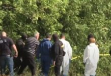 Un martor-cheie din dosarul Caracal s-a răzgândit: și-a schimbat în totalitate declarațiile