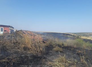 Incendiu în Brebeni. Arde câmpul