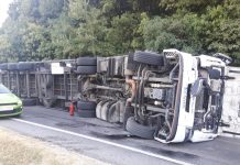 Accident rutier în Optași