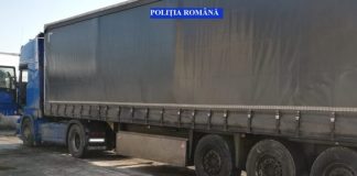 Zeci de metri cubi de lemn, confiscaţi de polițiștii olteni