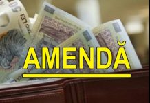 Proprietarii care dețin câini periculoși sau agresivi și nu respectă condițiile de deținere a acestora riscă amenzi usturătoare