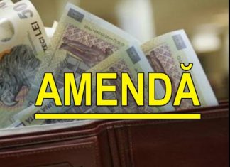 Proprietarii care dețin câini periculoși sau agresivi și nu respectă condițiile de deținere a acestora riscă amenzi usturătoare