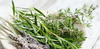 Ia-ți ADIO de la amețeli, dureri, oboseală cronică și probleme tiroidiene. Remediul NATURAL imbatabil