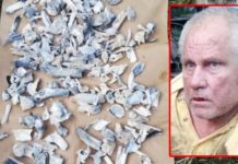 Oasele descoperite în curtea lui Dincă sunt de origine animală