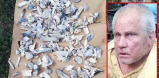 Oasele descoperite în curtea lui Dincă sunt de origine animală