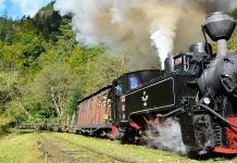 Odă în metru de călătorie Moto: ”Un singur nai, dar câte ecouri în păduri…” (Ion Pillat)