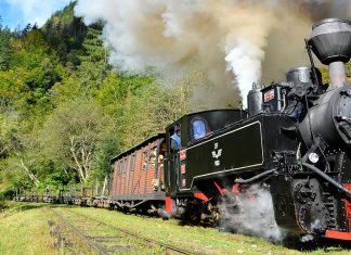 Odă în metru de călătorie Moto: ”Un singur nai, dar câte ecouri în păduri…” (Ion Pillat)