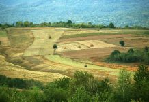 S-a aprobat Decizia de reglementare a plăţilor în avans – C 2019