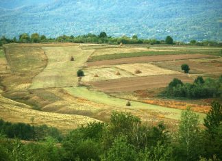 S-a aprobat Decizia de reglementare a plăţilor în avans – C 2019