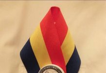 Alegeri la Colegiul Națonal “Ion Minulescu”