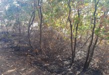 Incendiu în Bobicești