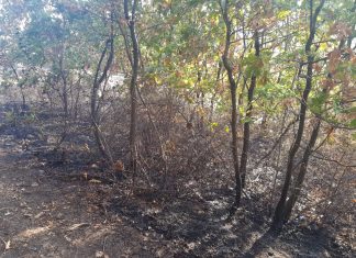 Incendiu în Bobicești