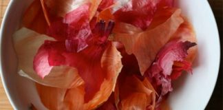 13 boli pe care le poți trata cu coji de ceapă