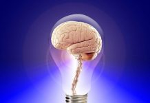 Vitamina esențială pentru lupta împotriva bolii Alzheimer. Menține sănătatea sistemului nervos și previne îmbătrânirea prematură a creierului