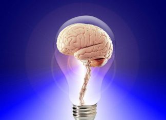 Vitamina esențială pentru lupta împotriva bolii Alzheimer. Menține sănătatea sistemului nervos și previne îmbătrânirea prematură a creierului