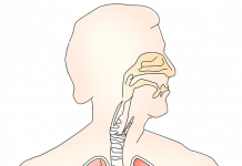 Ce să mănânci ca să-ți reduci la minimum riscul de cancer pulmonar