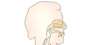 Ce să mănânci ca să-ți reduci la minimum riscul de cancer pulmonar