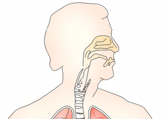 Ce să mănânci ca să-ți reduci la minimum riscul de cancer pulmonar