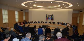 Ce proiecte importante au fost votate în şedinţa Consiliului Judeţean