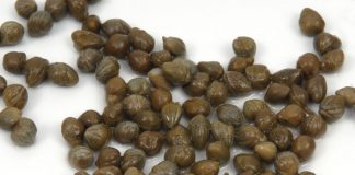 Alimentul plin de vitamine care previne cheagurile de sânge și constipația