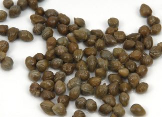 Alimentul plin de vitamine care previne cheagurile de sânge și constipația