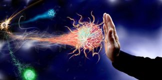 Lipsa acestei vitamine slăbește sistemul imunitar și ne predispune la îmbolnăvire