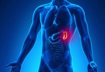 SPLINA, a doua inimă a organismului