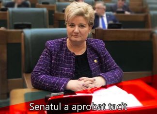 Siminică Mirea, omul faptelor