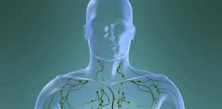 Sistemul limfatic distruge virusurile și elimină toxinele din organism