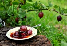 Aceste fructe combat guta și ”topesc” grăsimea de pe burtă