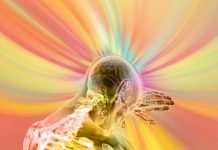 Alimentele care iti distrug creierul! Ele cresc inflamatiile la nivelul acestui organ