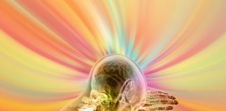 Alimentele care iti distrug creierul! Ele cresc inflamatiile la nivelul acestui organ