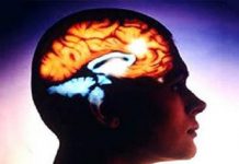 Efect dovedit! Alimentele care te ajută să previi accidentul vascular cerebral