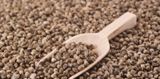 Semințele incredibile care remediază dereglările hormonale. Te ajută să scapi de oboseală și să nu-ți mai cadă părul