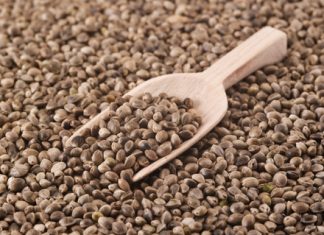 Semințele incredibile care remediază dereglările hormonale. Te ajută să scapi de oboseală și să nu-ți mai cadă părul