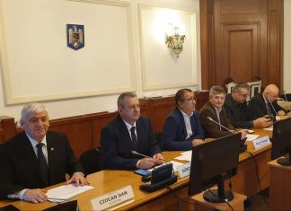 Alexandru Stănescu, la datorie