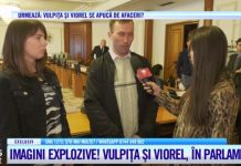 Deputatul oltean, Stănescu s-a făcut de râs: A primit două panarame la Parlament…!