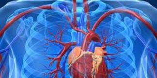 Alimente care îți îmbolnăvesc inima. Vezi care sunt