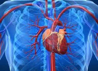 Alimente care îți îmbolnăvesc inima. Vezi care sunt