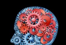 Vitamina extrem de importantă pentru creier. Lipsa ei duce la tulburări grave de memorie