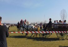 „Încuratul cailor de Sân’ Toader”, o nouă ediție, la Brâncoveni