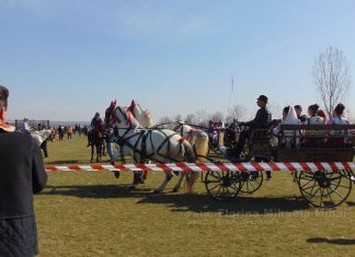 „Încuratul cailor de Sân’ Toader”, o nouă ediție, la Brâncoveni