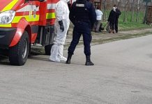 Coronavirus. Primarul din Grădinari vrea să închidă școala din comună