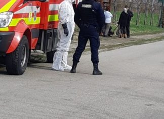 Coronavirus. Primarul din Grădinari vrea să închidă școala din comună