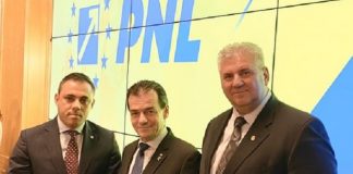 E oficial! Candidaturile lui Voicu și Voiculescu, validate de BPN al PNL
