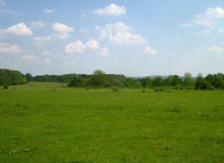 Primar din Olt, acuzat că face afaceri, prin interpuși, cu pășunea